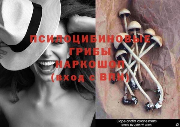 марки lsd Армянск