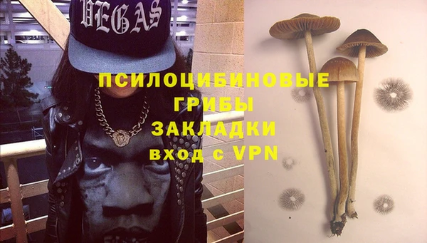 Альфа ПВП Арсеньев