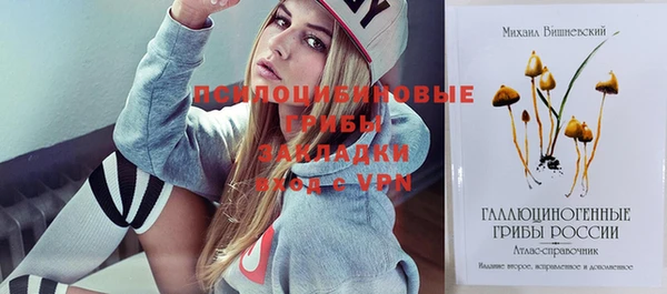 Альфа ПВП Арсеньев