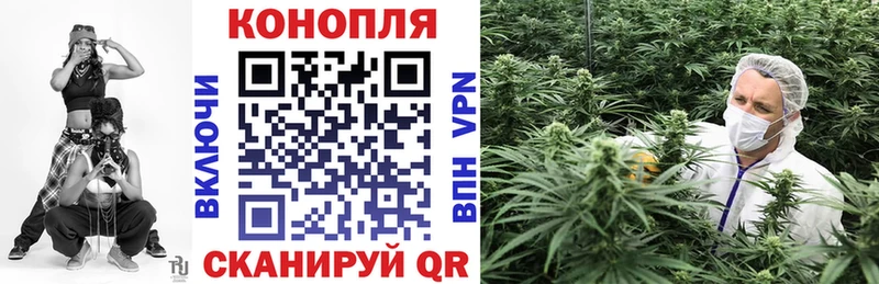 Конопля Ganja  Олонец 